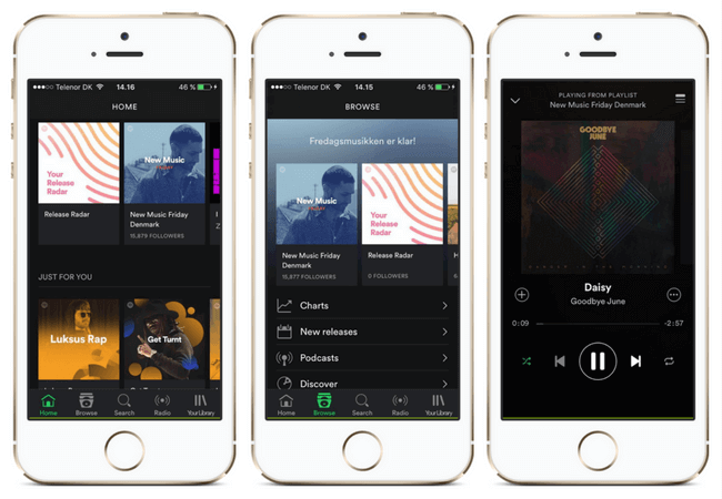 Roedt_kort_app