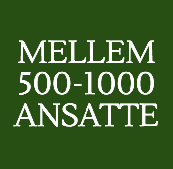 Mellem 500-1000  ansatte