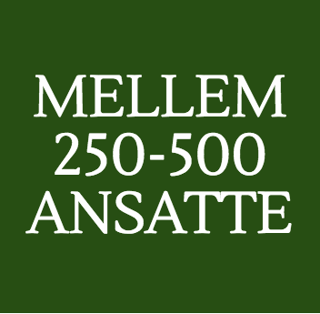 mellem 250-500