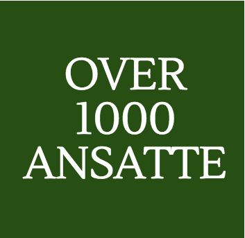 Over 1000 ansatte