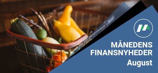 Mikonomi.dk anbefaler: 5 gode budgetskemaer