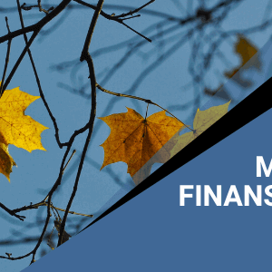 Finansnyheder: 5 interessante artikler fra november